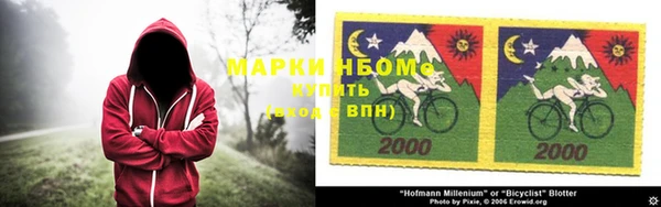 ПСИЛОЦИБИНОВЫЕ ГРИБЫ Краснослободск