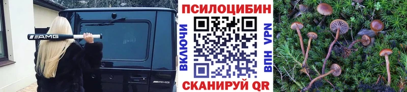 Псилоцибиновые грибы мицелий Артёмовск