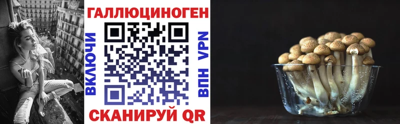 Купить  Артёмовск  Псилоцибиновые грибы MAGIC MUSHROOMS 